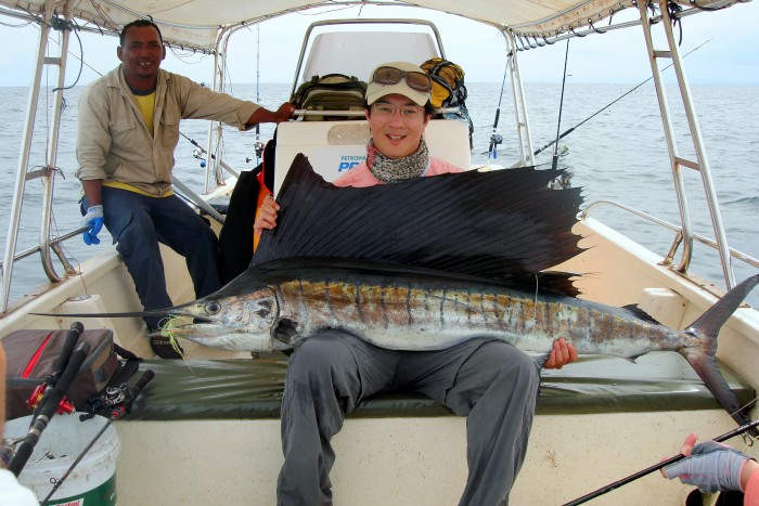 A sailfish landed with a 9wt Winston Boron 9mx with a Billy pate bonefish reel