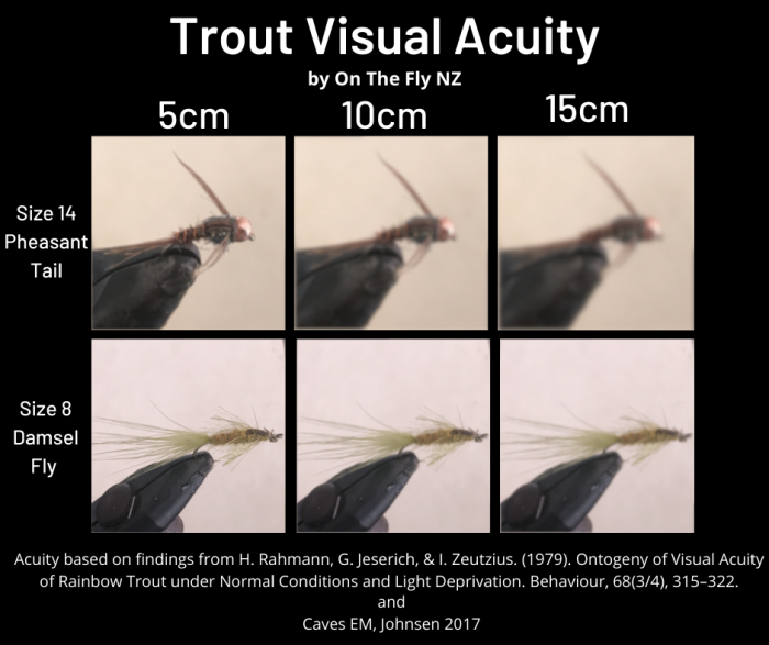 Trout Visual Acuity.png